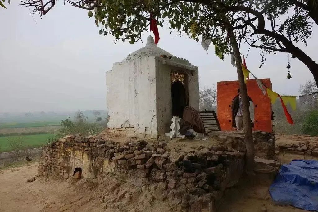 远绍如来，近光遗法｜玄奘大师圆寂纪念日