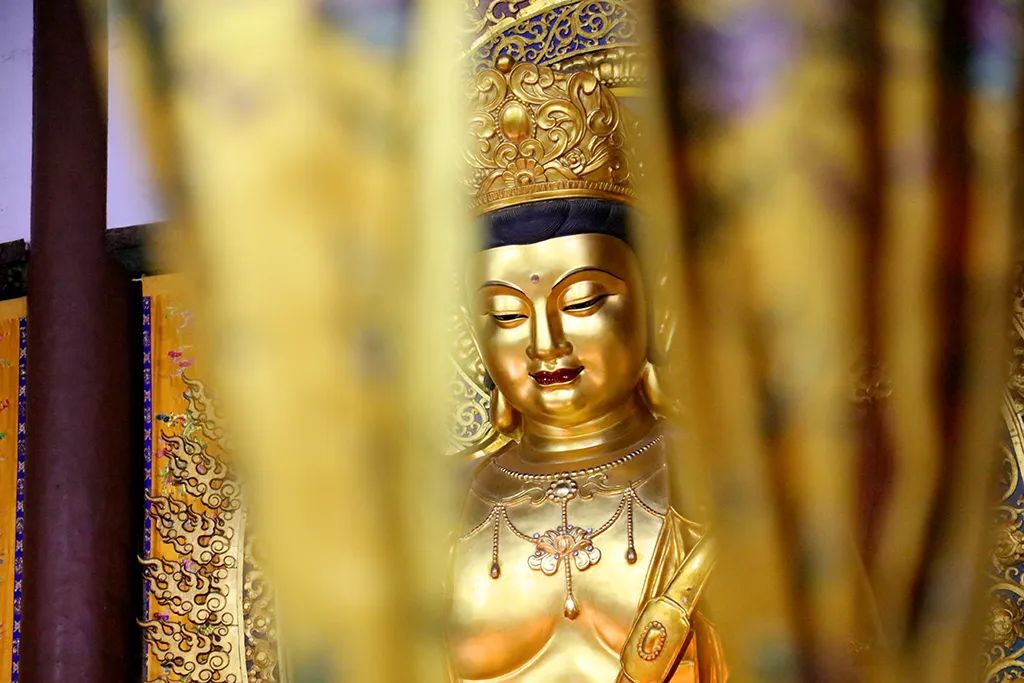 过往不念 当下不杂 未来不惧