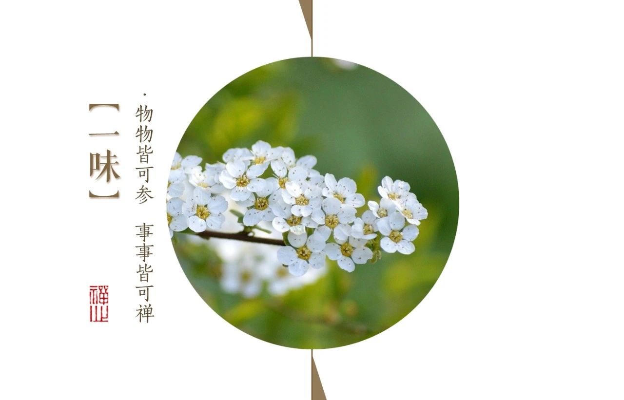 济群法师：浮生若梦，可曾让心歇一歇？