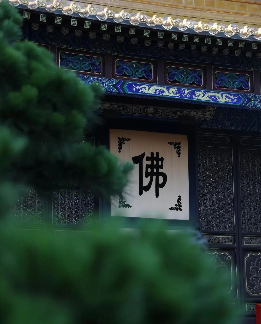 圣严法师：随处作主，立处皆真