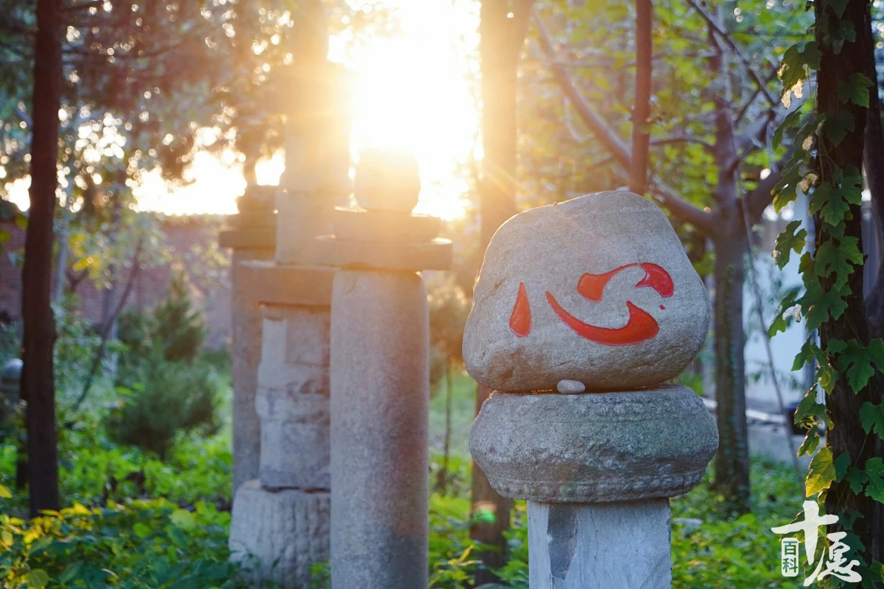 宗舜法师：佛门“随喜”随什么？恶人被惩戒也能随喜吗？