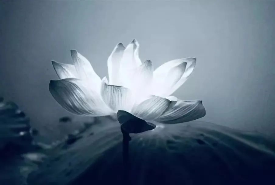 师说｜本来单纯