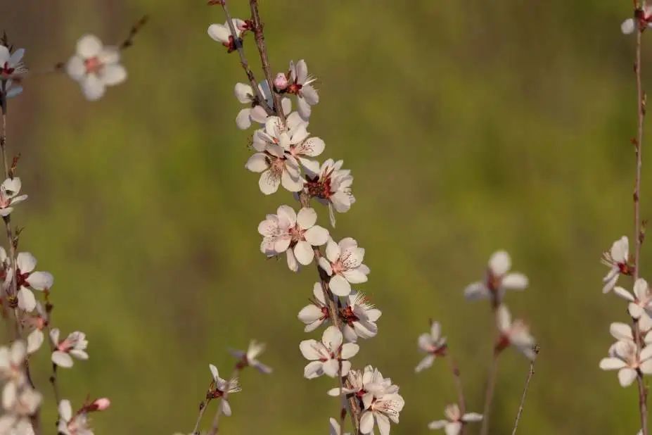 三参法师：拿起后悔药，远离孟婆汤