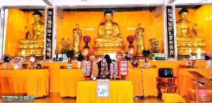 法讯|甲辰年恭迎本师释迦牟尼佛圣诞佛七法会通启