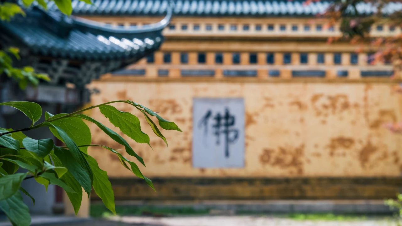 三参法师：这样的你，未来可期