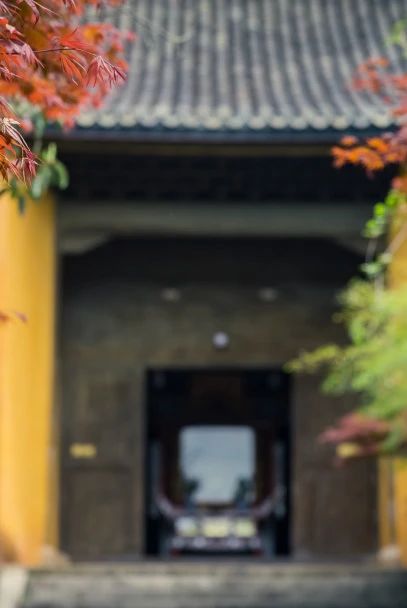 三参法师：这样的你，未来可期