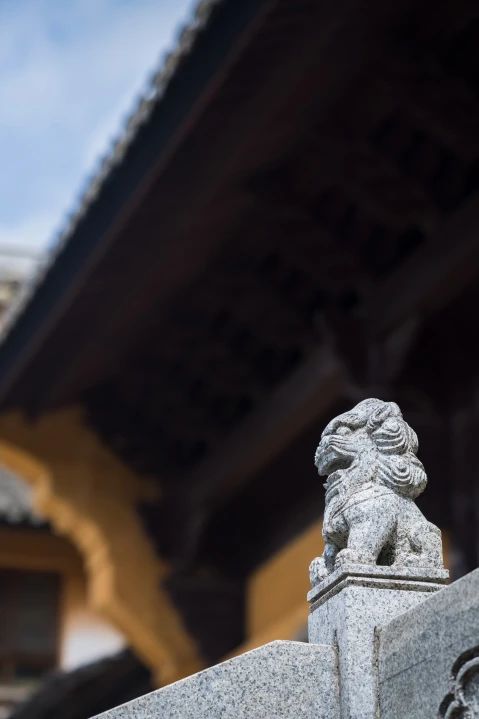 三参法师：这样的你，未来可期