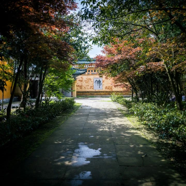 三参法师：这样的你，未来可期