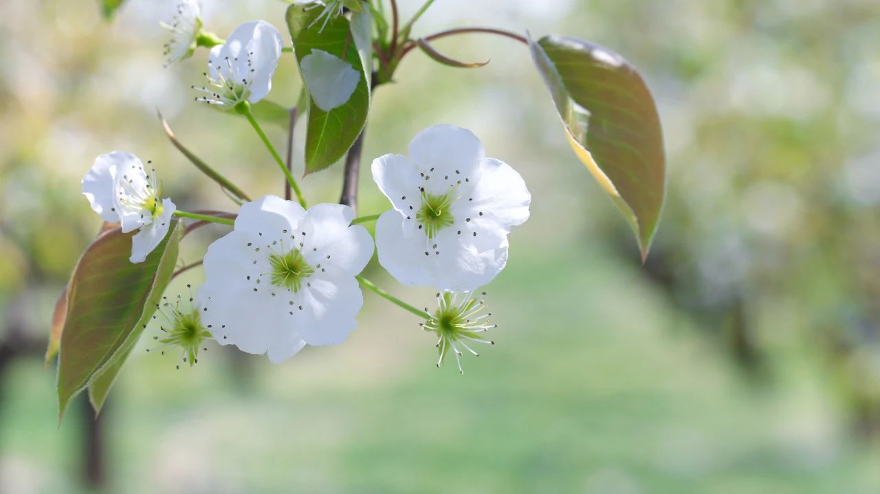 三参法师：你的今天，会因此而充满意义