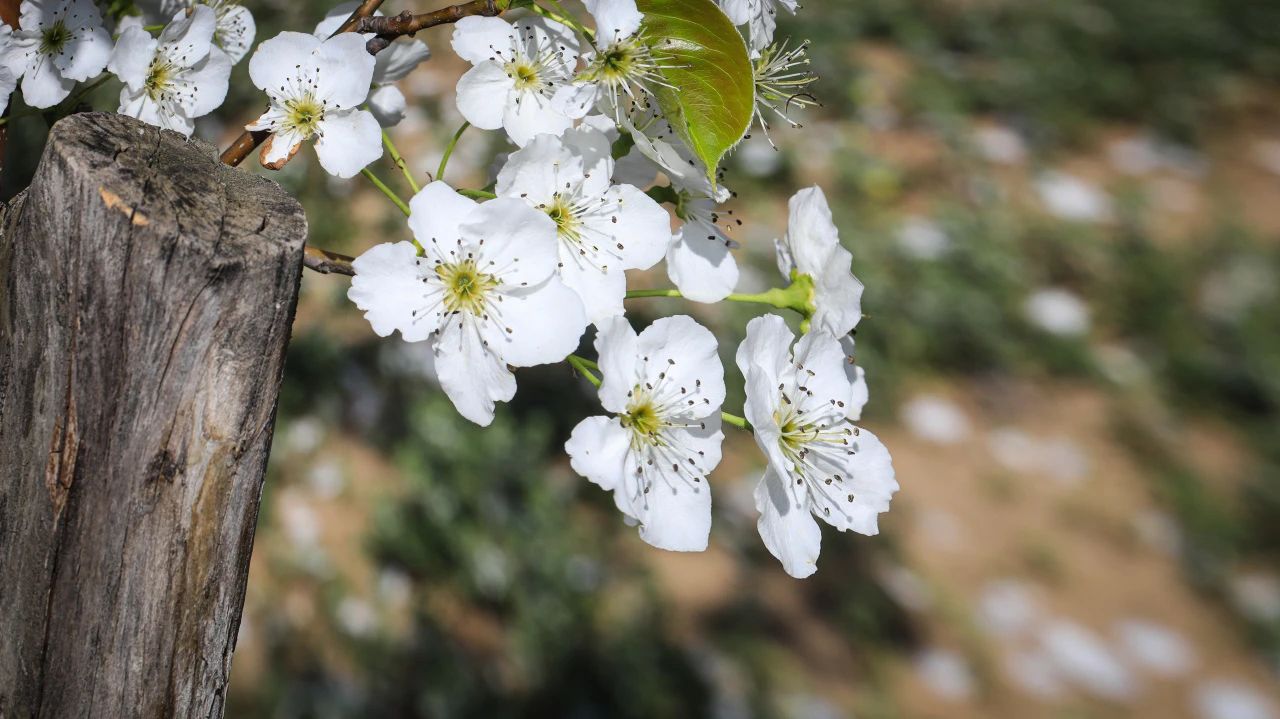 三参法师：你的今天，会因此而充满意义