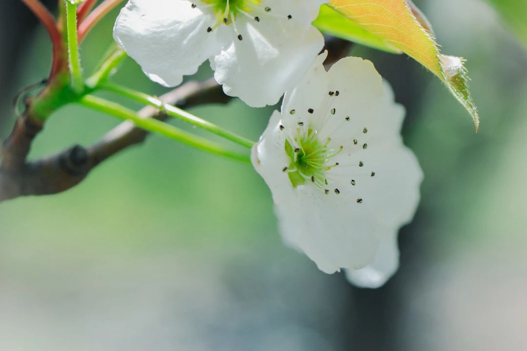 三参法师：你的今天，会因此而充满意义