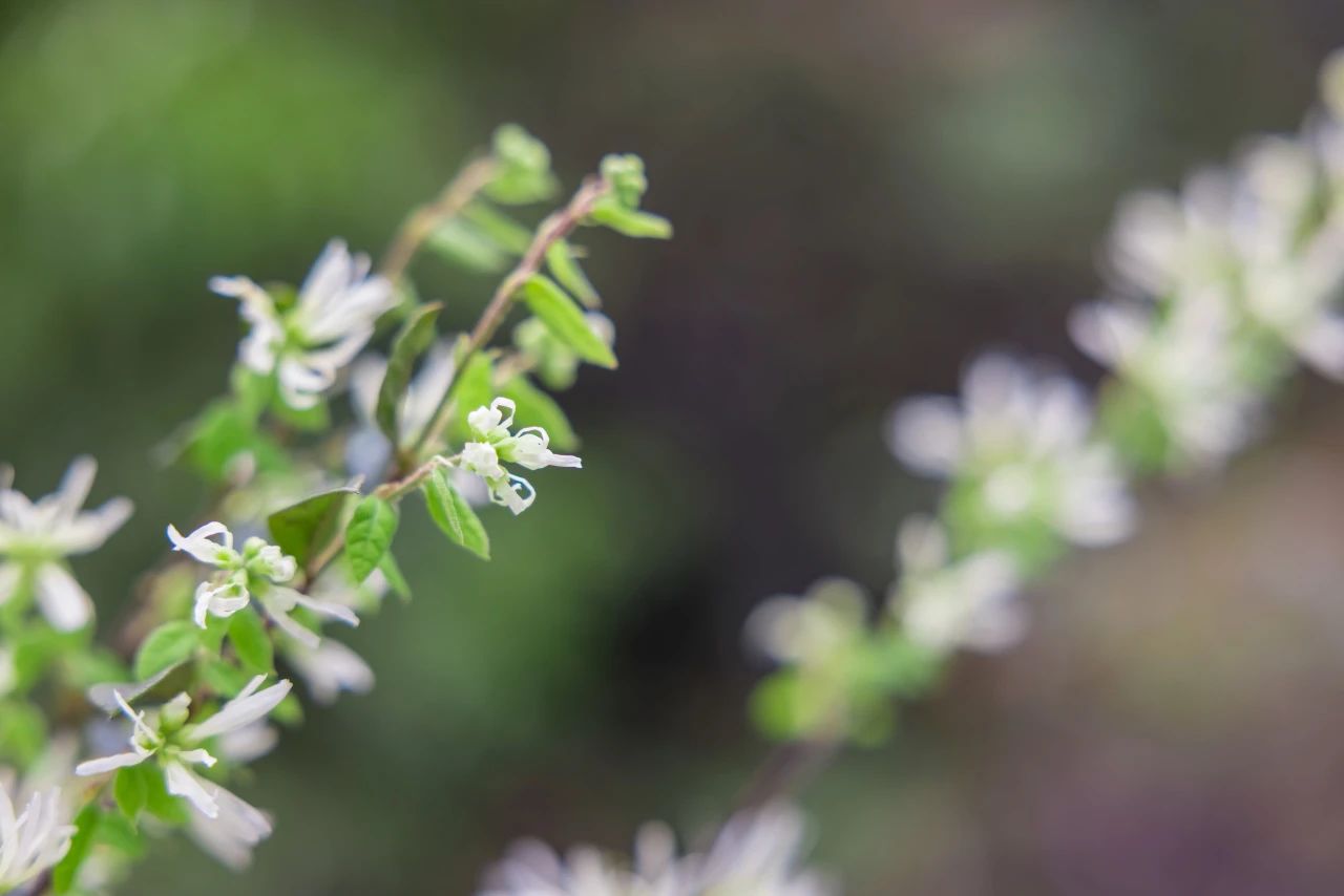 三参法师：你的今天，会因此而充满意义