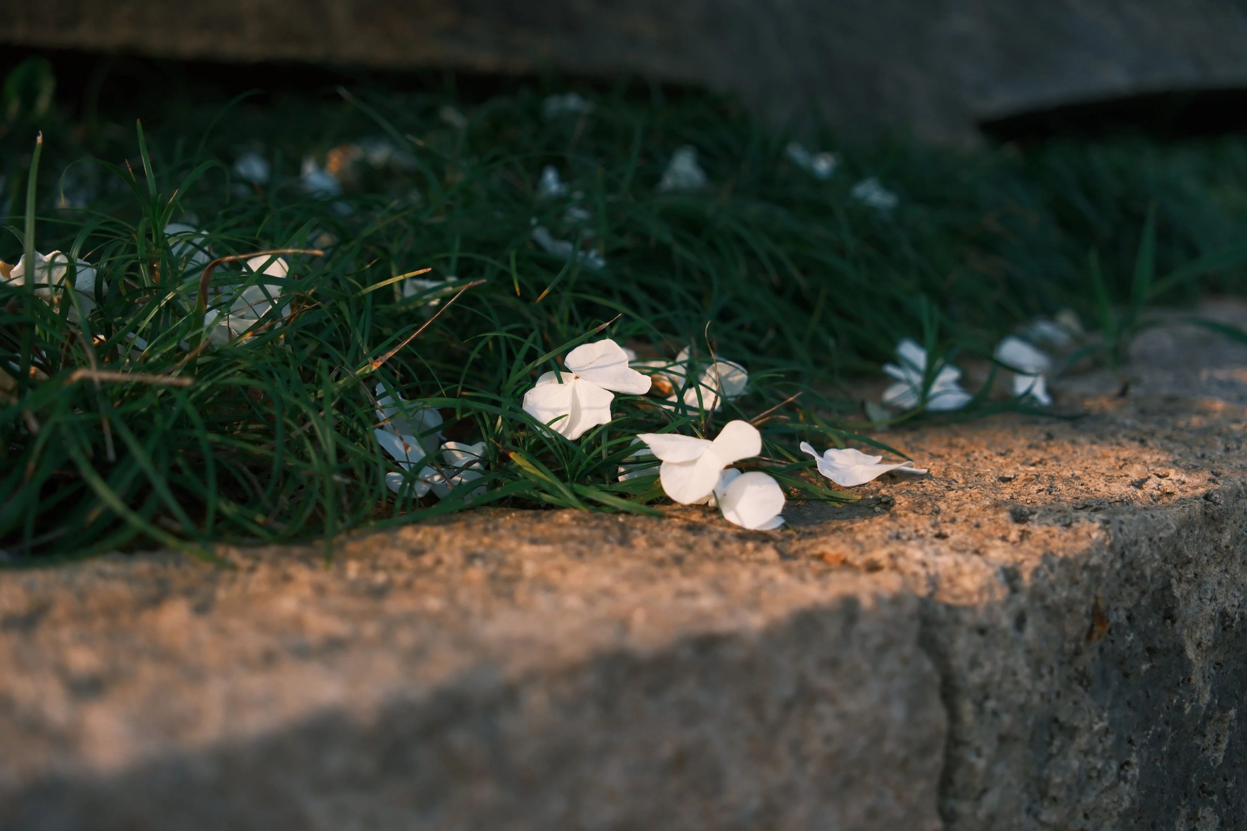 改运从改变语言开始