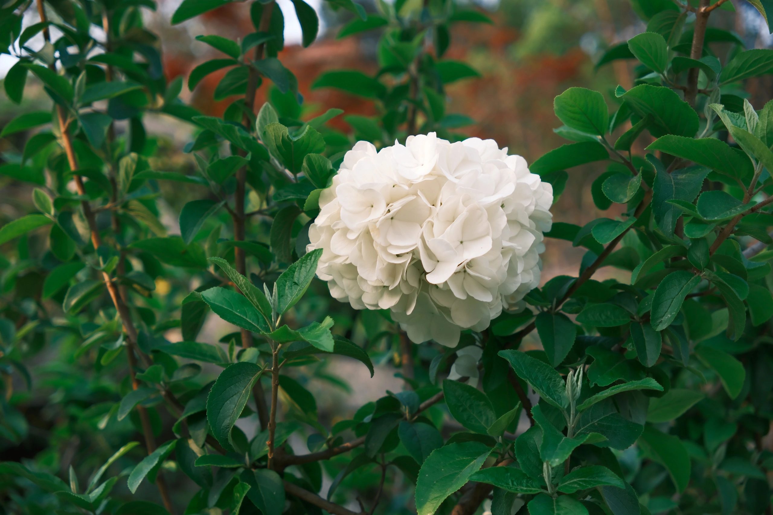 改运从改变语言开始