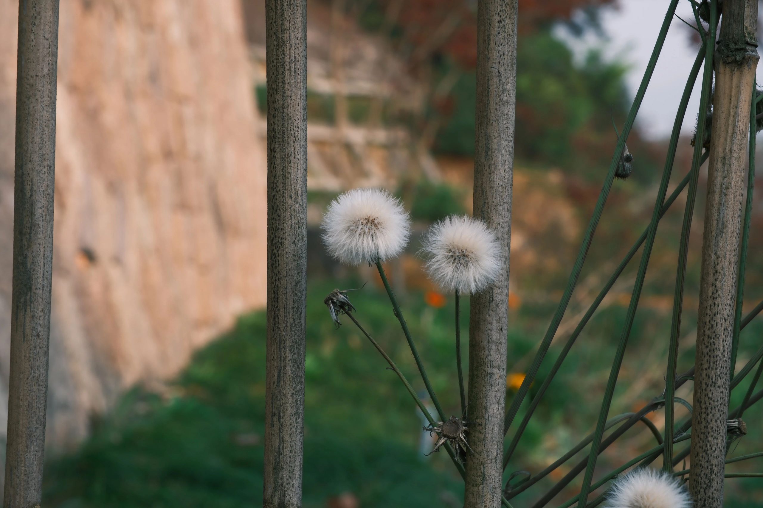 改运从改变语言开始