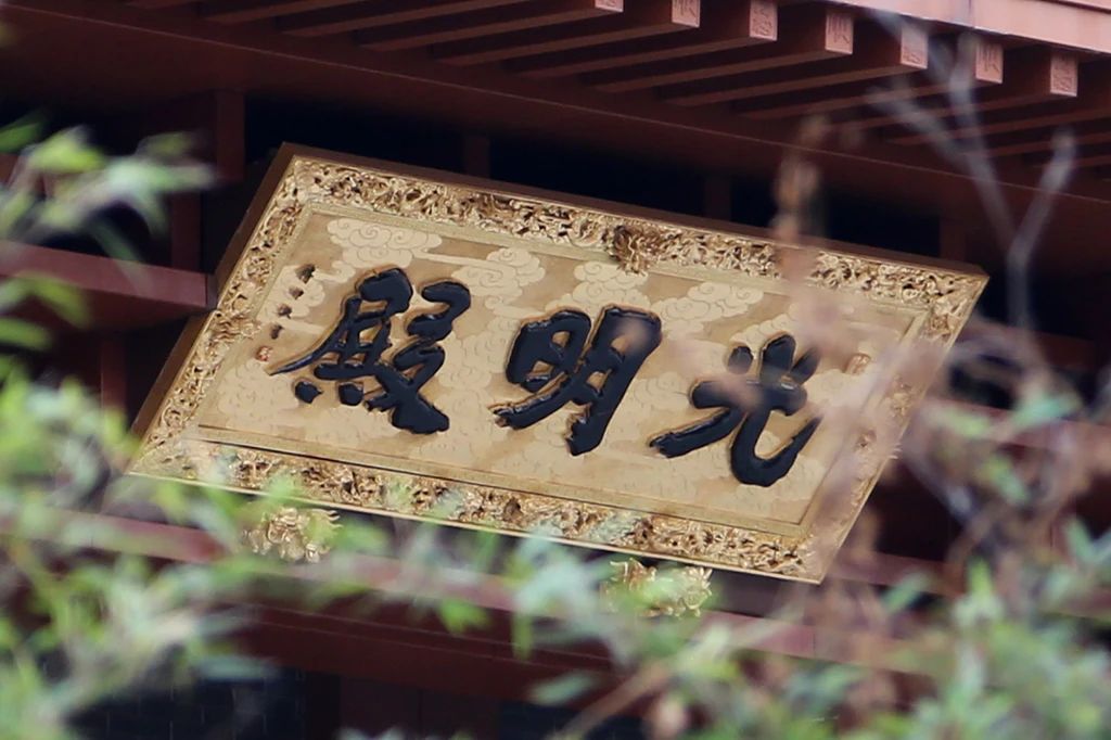 唯有珍惜，方能不负生命的每一天