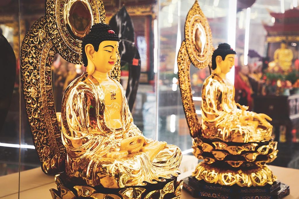 唯有珍惜，方能不负生命的每一天