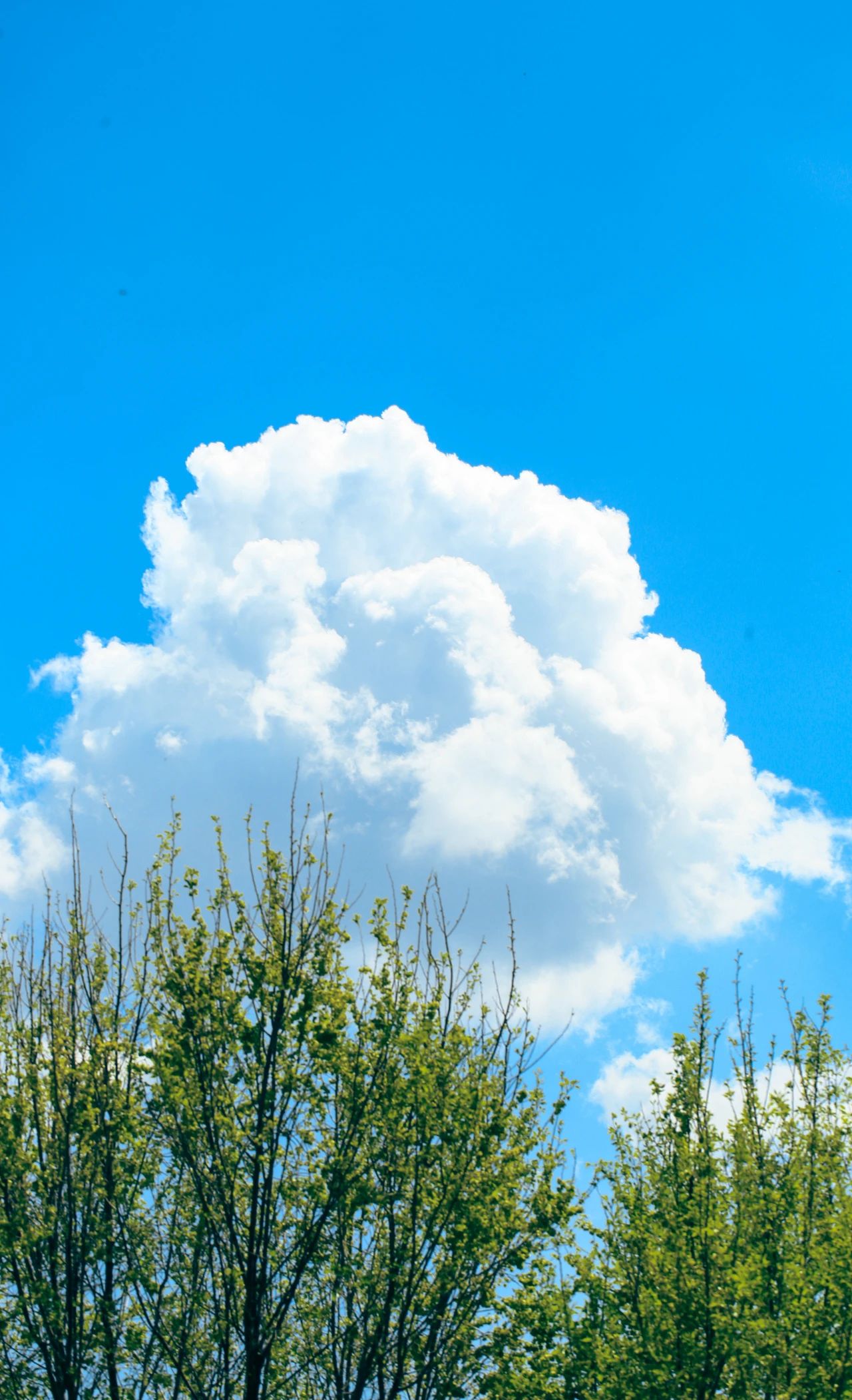 是什么，卡着你自己？