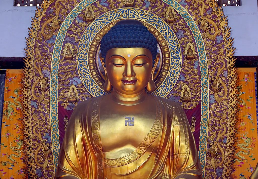 起心动念皆是因，当下所受皆是果