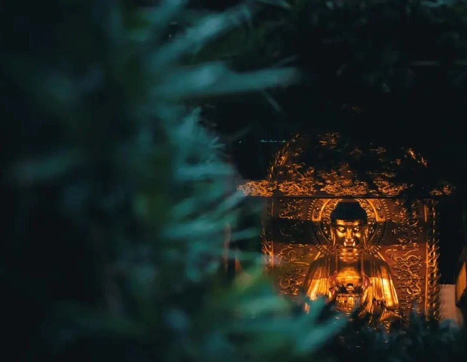 清涼释疑丨礼佛的几个方式，你用的哪一种？