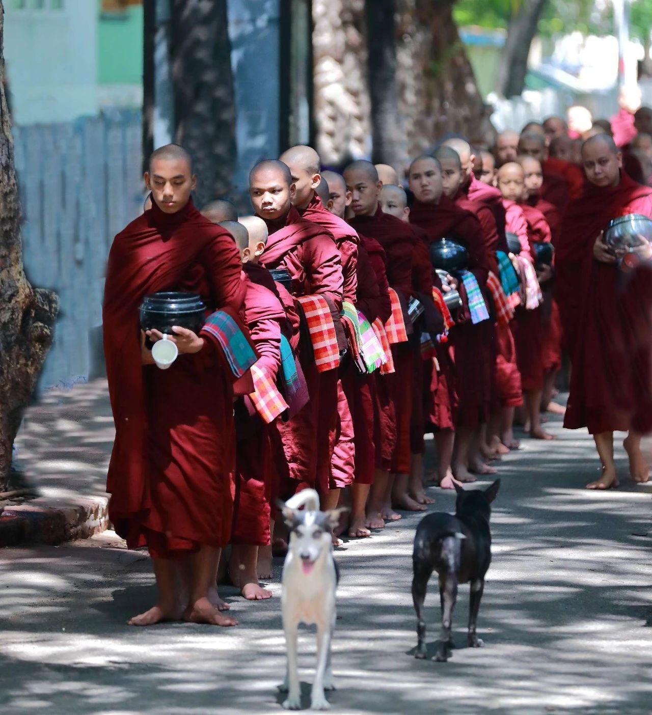 如果你有以下任意一个特性，证明你前世是修行人！