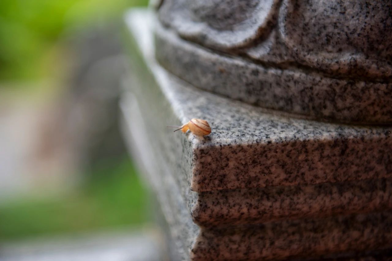 精进办道 | 莆田南少林寺举行结夏安居仪式