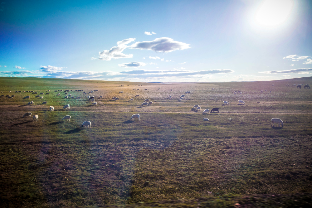 改命的三种智慧，你值得拥有