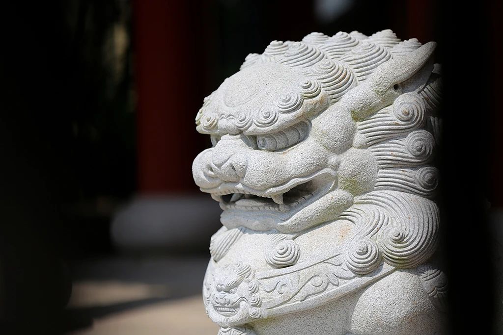 一念之善，帮了别人，更是助了自己