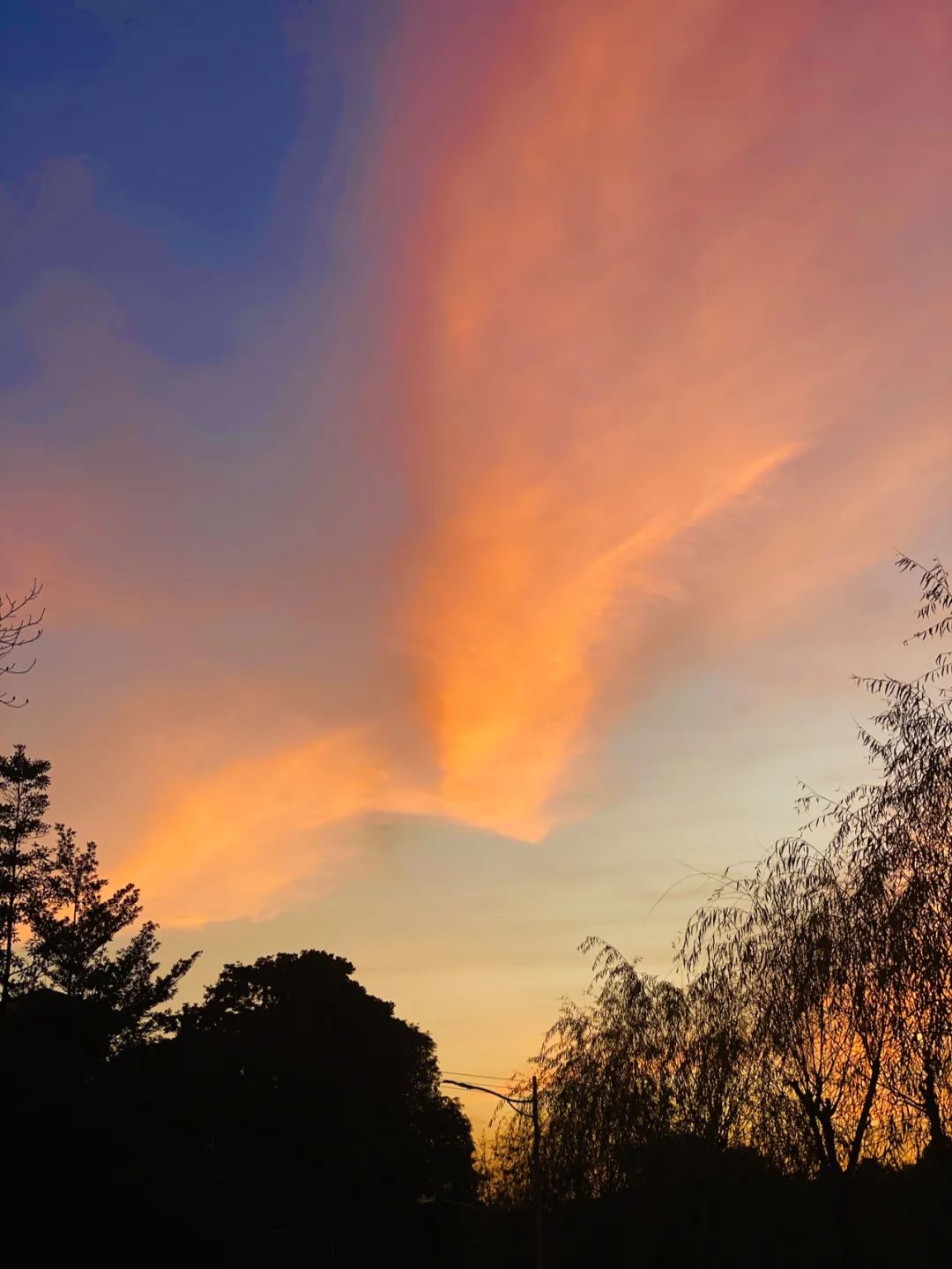 六祖寺7月份静心班招募
