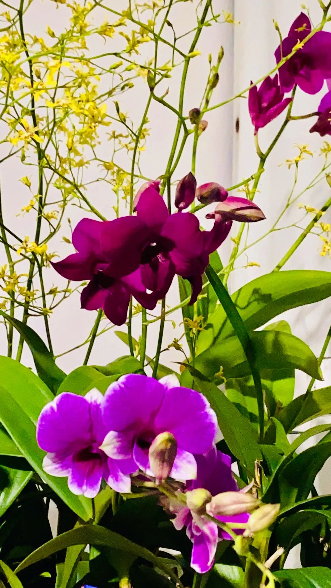 六祖寺7月份静心班招募