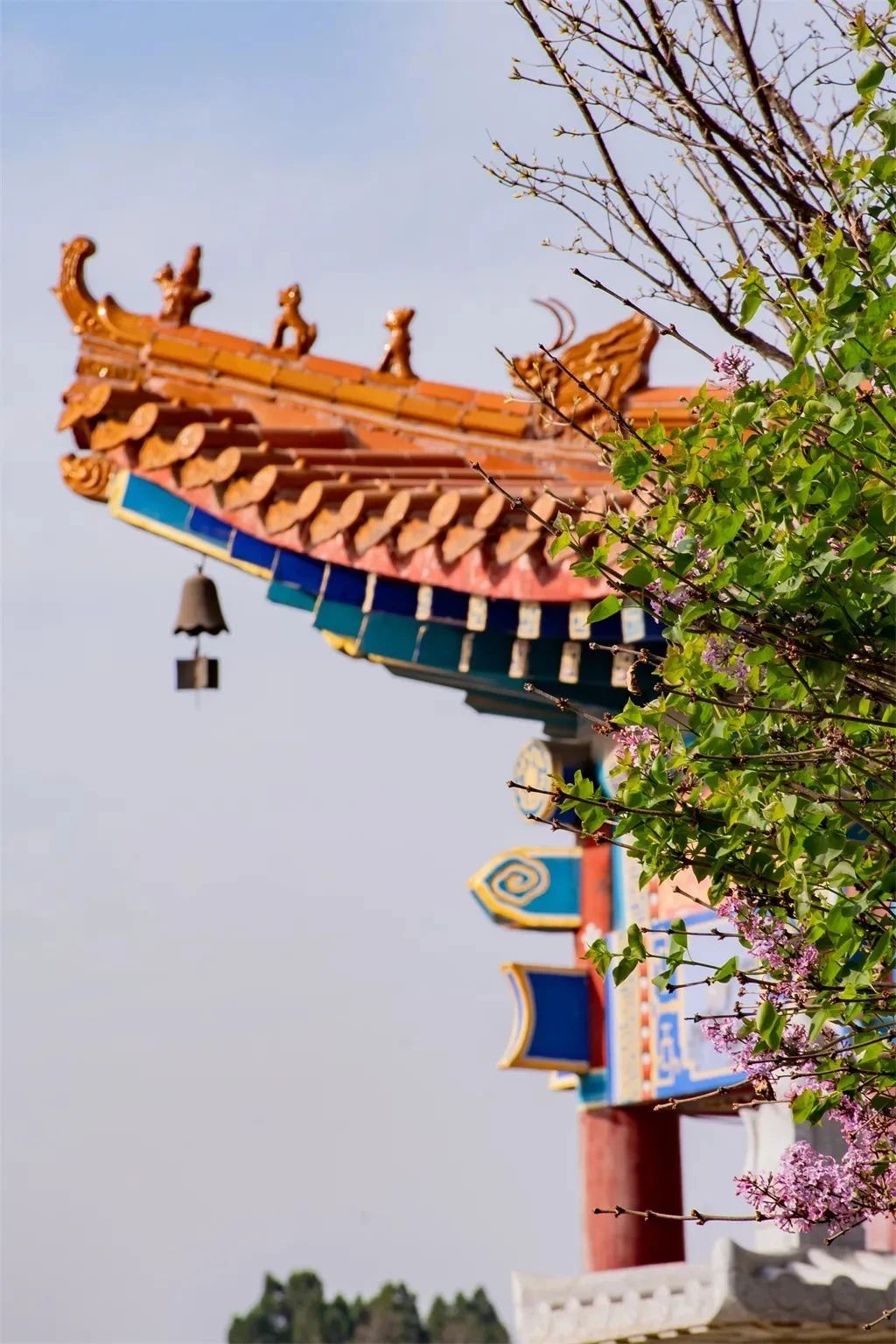 什么是执着？怎样算放下？