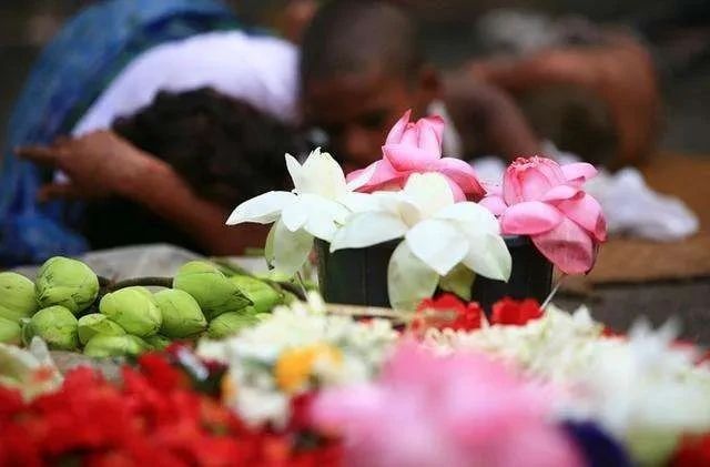 什么是执着？怎样算放下？