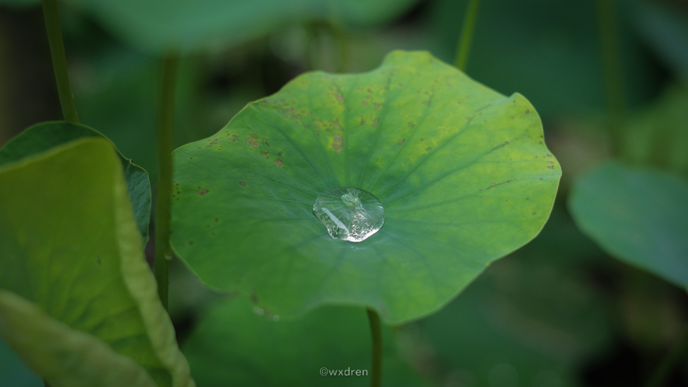 内心不够强大的人，请记住这3句话