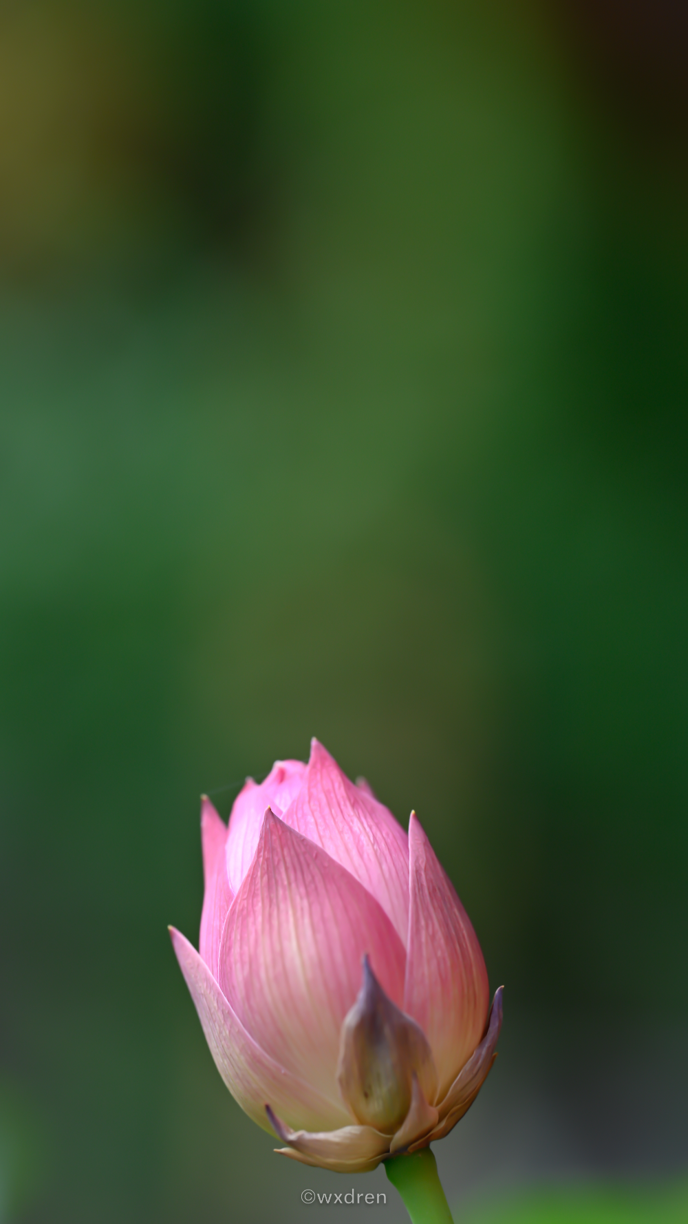 内心不够强大的人，请记住这3句话