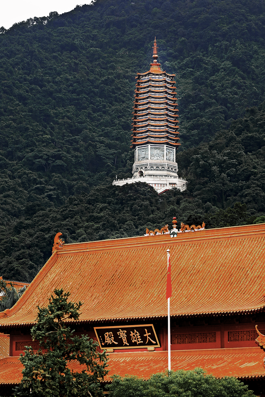 想要成功，就必须懂得“忍”的修养