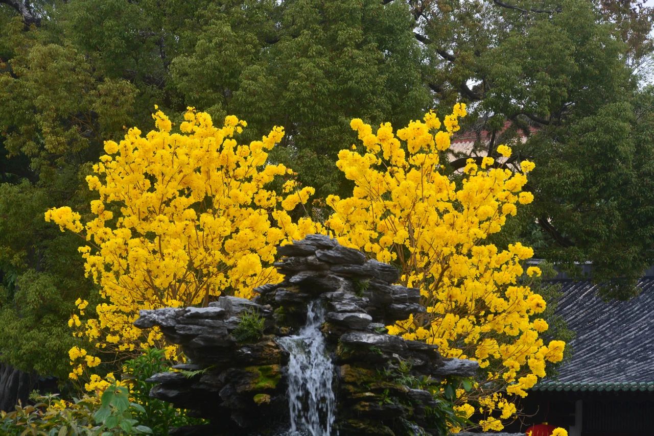 净慧长老：一切苦痛的根源