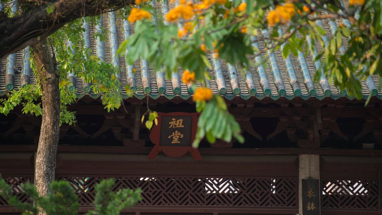 净慧长老：一切苦痛的根源