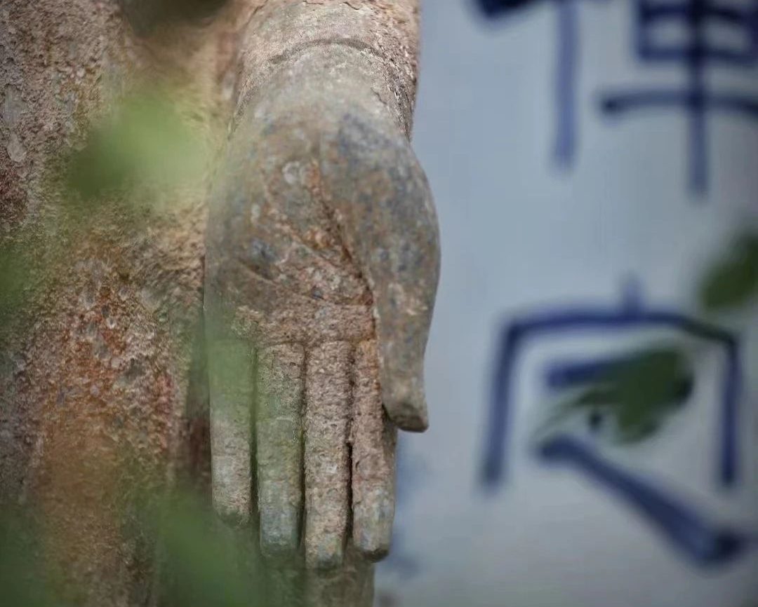星云大师:人生智慧 | 相互体谅 | 新禅风