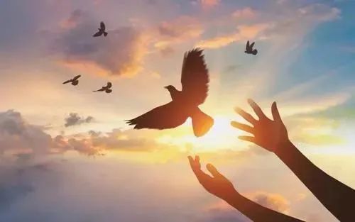 最简单的放生仪轨