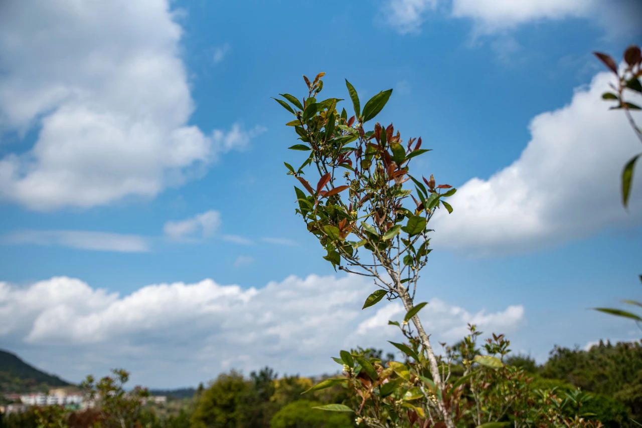 世露风霜，皆是修行之资啊