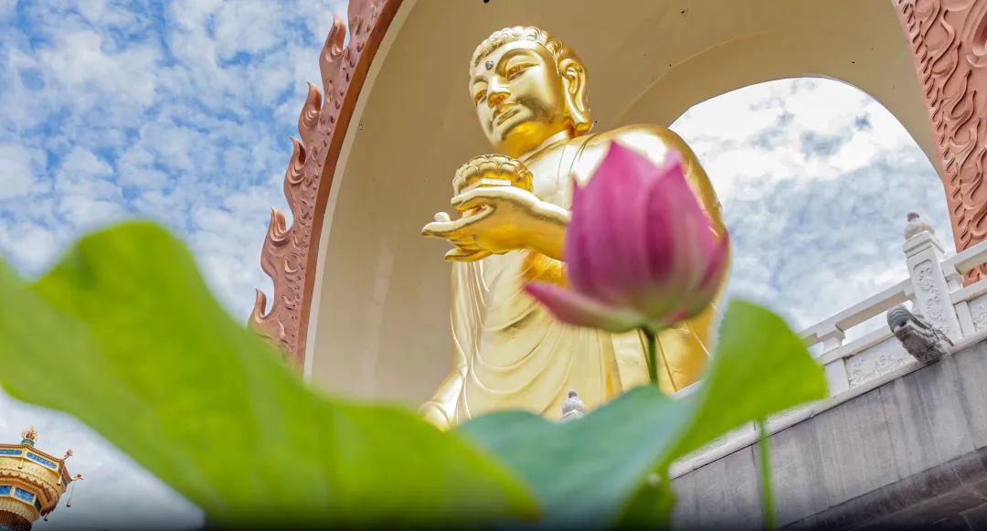 暑热匡庐起阳焰，清凉净苑开莲花