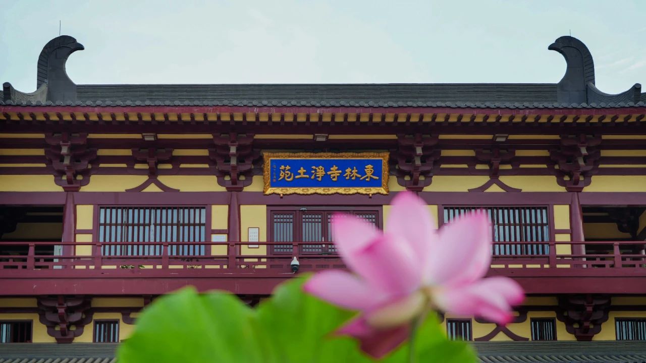 暑热匡庐起阳焰，清凉净苑开莲花