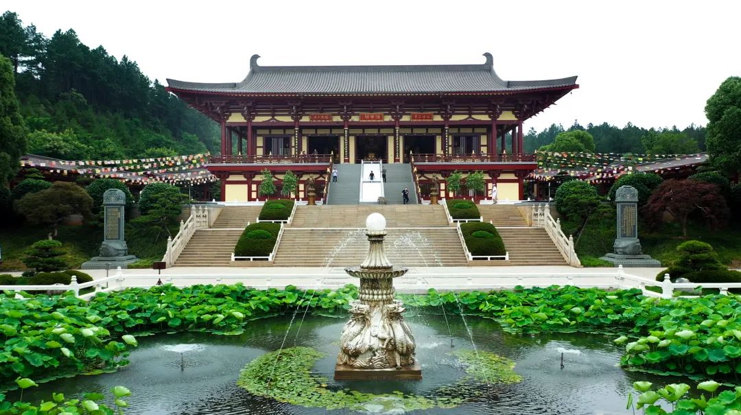 暑热匡庐起阳焰，清凉净苑开莲花