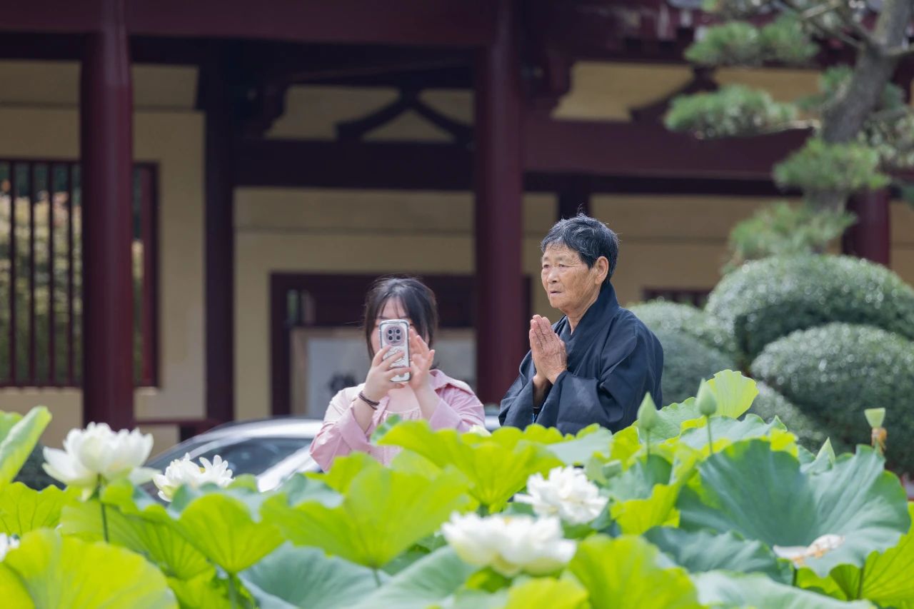 暑热匡庐起阳焰，清凉净苑开莲花
