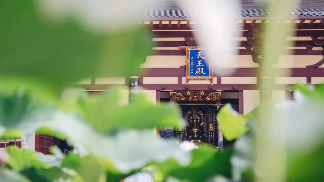 暑热匡庐起阳焰，清凉净苑开莲花