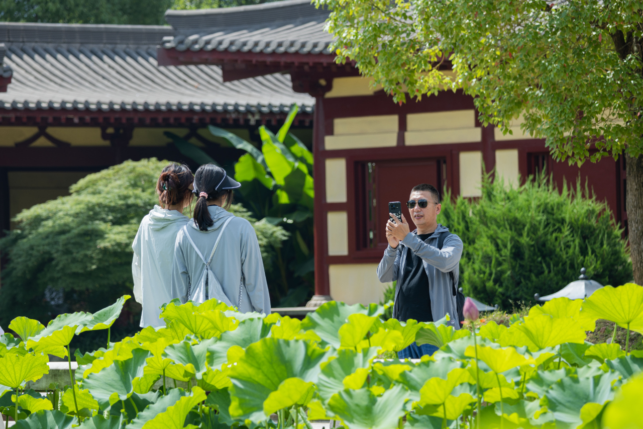 暑热匡庐起阳焰，清凉净苑开莲花