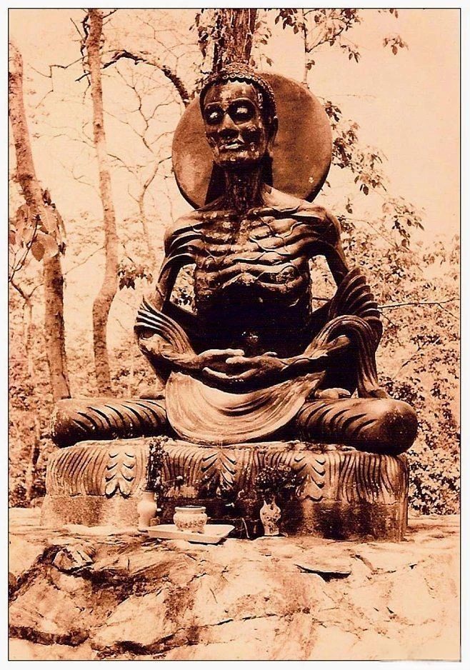 我的杂念仍然很多，当我想保持清醒时就妄念纷飞丨阿姜查尊者对修行问题的开示