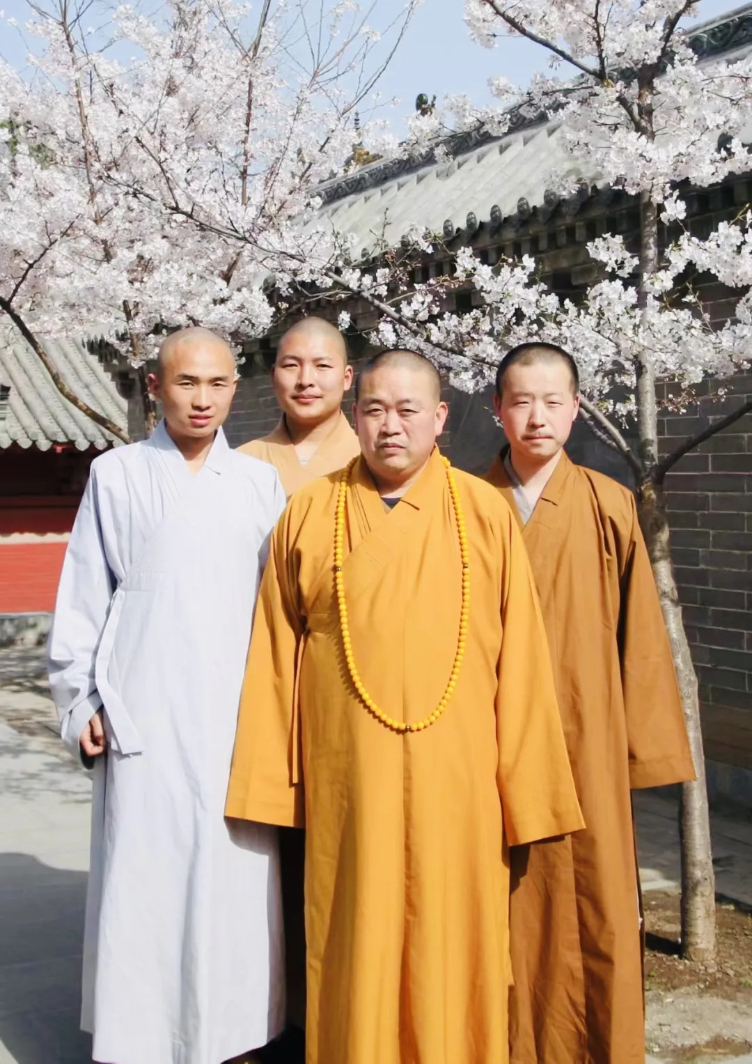 发大愿，做真修行人——我的师父释永信大和尚