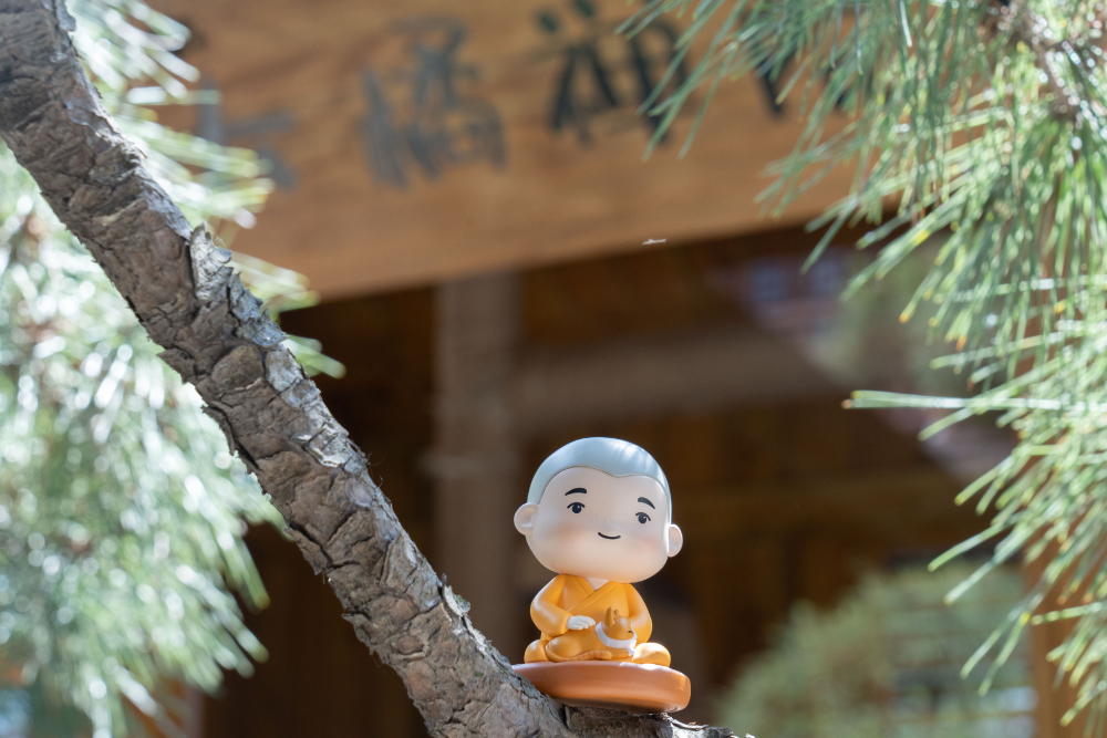 致走过修行弯路的你：千万常念这四个字