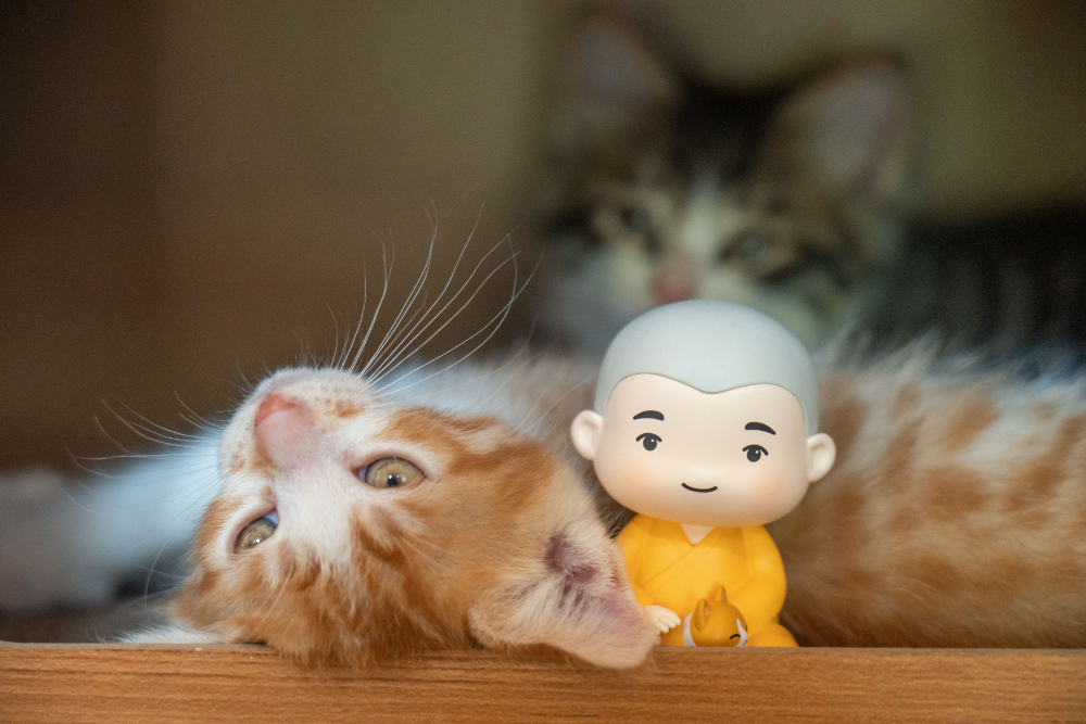 致走过修行弯路的你：千万常念这四个字